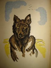 Dingo par Falké
